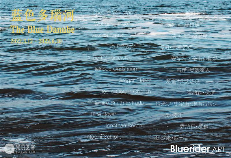 BlueriderDaily 蓝色多瑙河 5/12 Wolfgang Flad 奇幻DNA螺旋体 博文精选 Bluerider ART 崇真艺客
